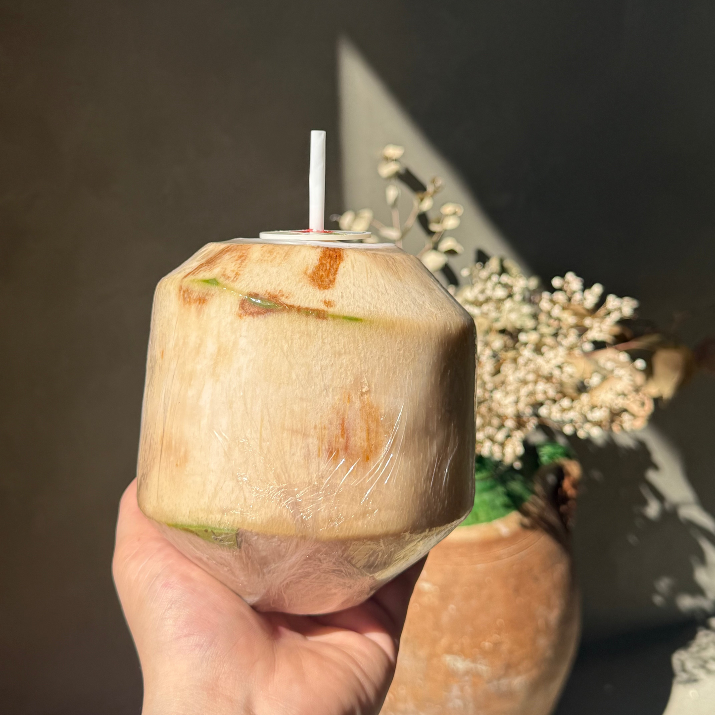 Thai Coconut